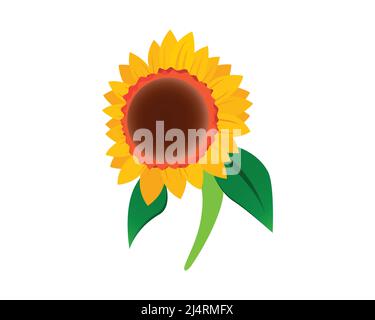 Sunflower Illustration as Flora Entity Vector Stock Vector