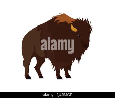 Detailed Bison Illustration with Standing Gesture Vector Stock Vector