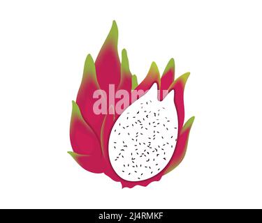 Detailed Dragon Fruit Illustration Vector Stock Vector