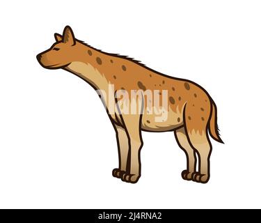 Detailed Hyena with Standing Gesture Illustration Vector Stock Vector
