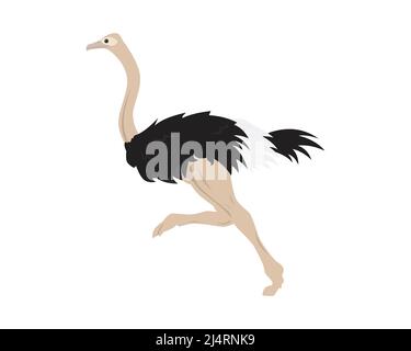 Detailed Ostrich with Running Gesture Illustration Vector Stock Vector