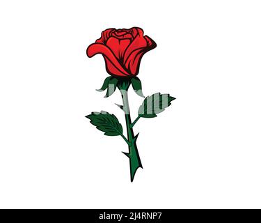 Detailed Single Red Rose Illustration Vector Stock Vector