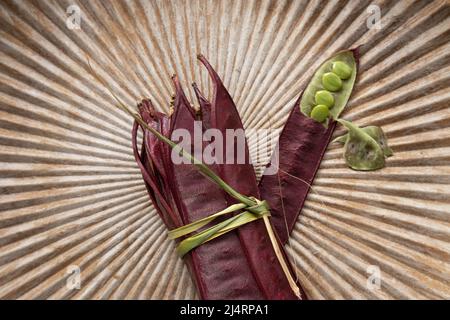 Bundle of Guaje seed pods in Oaxaca, Mexico. Stock Photo