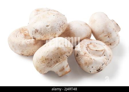 Handful of fresh champignons isolated on white Stock Photo