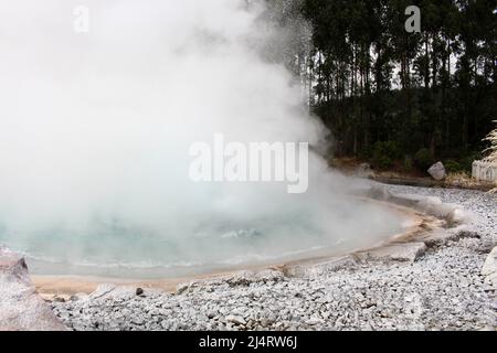 Geysers in the Wairakei Natural Thermal Valley on North Island, New Zealand Stock Photo