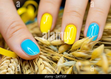 a macro shot of a blue-yellow nail manicure against the background of ears of wheat manicure gel polish made in the Ukrainian style Stock Photo