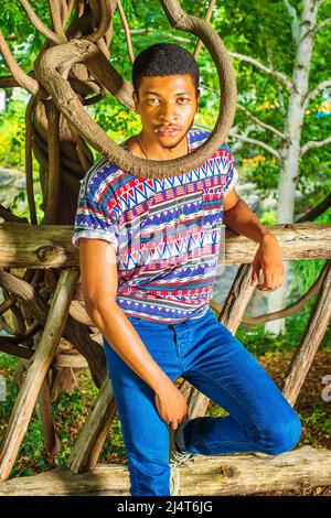Wearing colorful pattern shirt, blue jeans, a young handsome guy standing against a wooden fence, a tree branch around his neck, confidently looking a Stock Photo