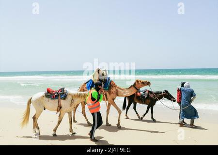 Mauritania, surroundings of Nouakchott Stock Photo