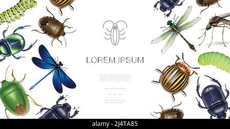 Realistic insects concept with dragonflies scarab colorado potato beetle stink bugs mosquito caterpillars vector illustration Stock Vector