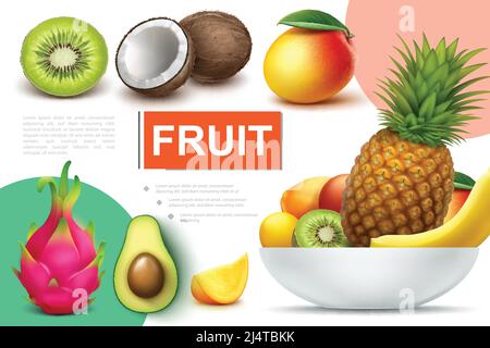 Realistic natural fruits composition with bowl of pineapple banana kiwi mango kumquat avocado coconut dragonfruit vector illustration Stock Vector