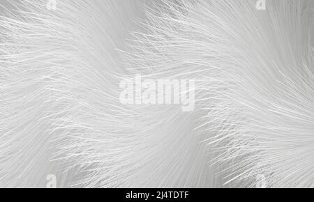 White fur vector abstract background. Light gray shaggy furry 3d hair texture. Fluffy white abstract background. Vector illustration Stock Vector