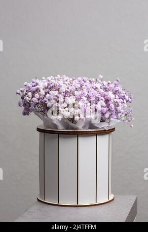 Baby's Breath pink flowers box isolated on bright background. Gift flowers in white box. Stock Photo