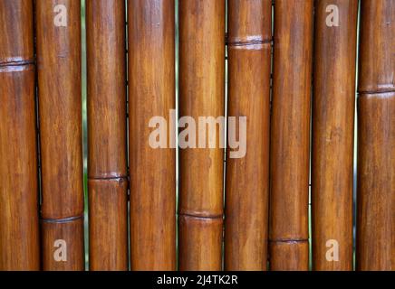 Yellow dried bamboo fence texture, bamboo texture background Stock Photo