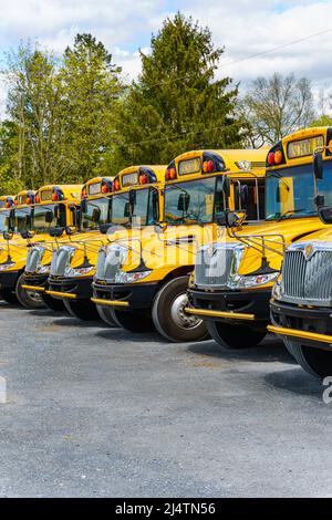 Rothsville, PA, USA - April 17, 2022: A fleet of parked yellow school buses in a rural village in Lancaster County, Pennsylvania. Stock Photo