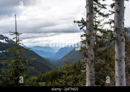 valley cut through the Cascade mountains northeast of Mount Rainier and looking into Rainier National Park Stock Photo