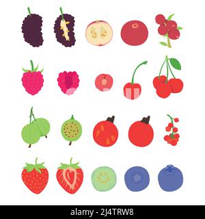 Collection of various hand drawn, flat colored berries, isolated on a white background. Stock Vector