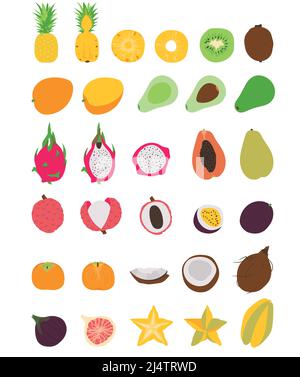 Collection of various hand drawn, flat colored exotic fruits, isolated on a white background. Stock Vector