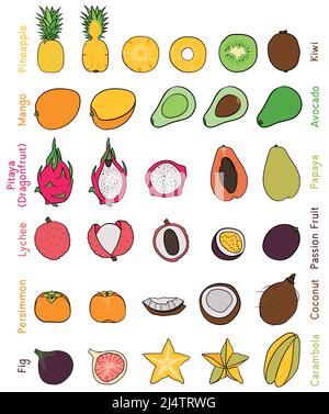 Collection of various hand drawn, flat colored exotic fruits, isolated on a white background. Stock Vector