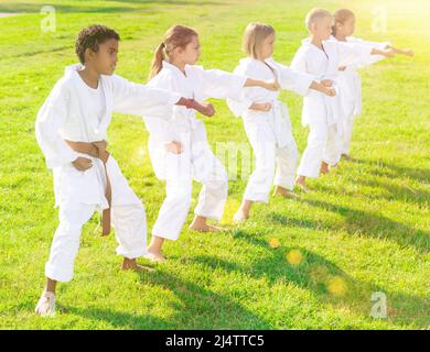 Group of young children doing karate kicks during karate class in park Stock Photo