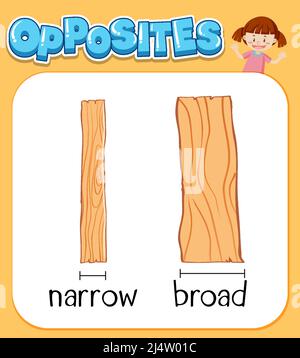 Opposite words for narrow and broad illustration Stock Vector