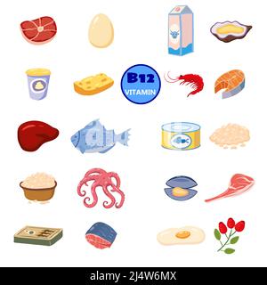 Set of Vitamin B12 origin natural sources. Healthy diary sea food, cottage cheese, meat, fish. Organic diet products, natural nutrition collection Stock Vector