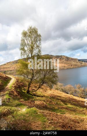 A view of Ullswater in Cumbria Stock Photo