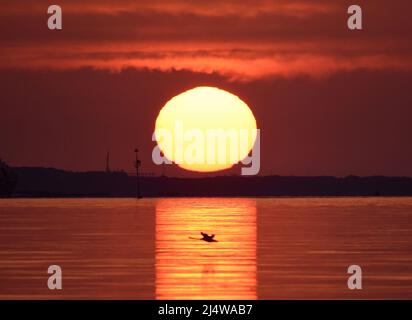 18/04/2022 Gravesend UK The beautiful weather continues over Easter Bank Holiday Monday as the day dawns in the Kent town of Gravesend. The calm water Stock Photo