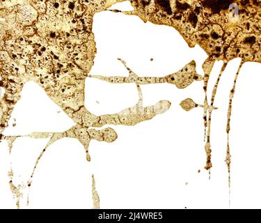Coffee background with drips of natural coffee grounds vector tracing. On a white background. Vector illustration Stock Vector