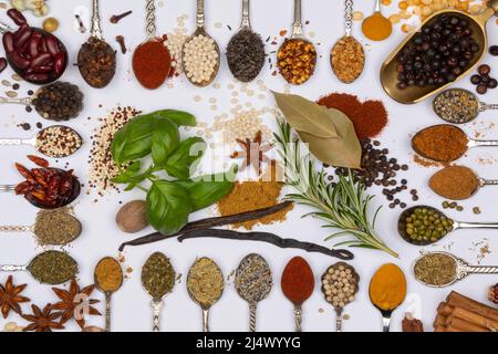 Selection of herbs and cooking spices on spoons. Stock Photo