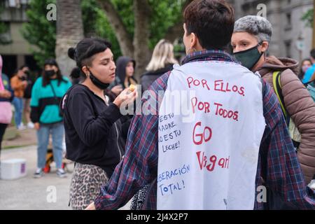 Buenos Aires, Argentina; Nov 1, 2021: World Vegan Day, people concentrated in Plaza de Mayo. Message: for them, for everyone, go vegan. Stock Photo