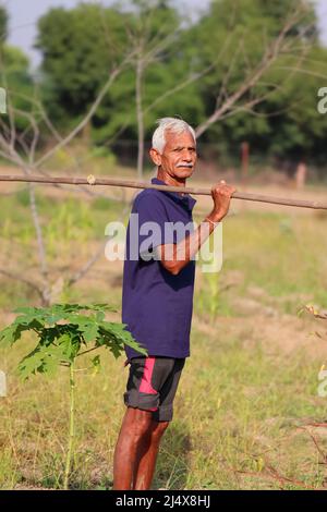 Happy Indian farmer standing with wooden plough in rice field Stock ...