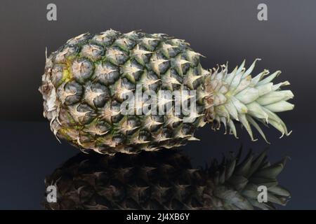 pineapple fruit on a black plexiglass. Whole ripe pineapple lying on a black glossy surface with a clear reflection Stock Photo