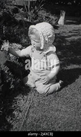 1960s, historical, an infant girl wearing a spotted cotton head bonnet, outside, sitting on her knees by a flower bed, England, UK. Stock Photo