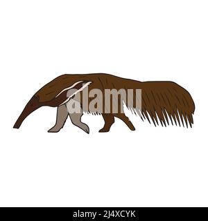 Vector hand drawn doodle sketch colored anteater isolated on white background Stock Vector