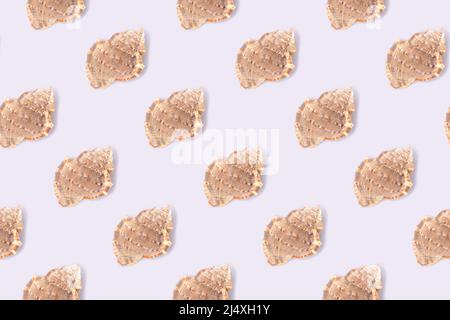 Repetitive pattern made from seashells. Creative layout on a blue background. Summer concept. Stock Photo