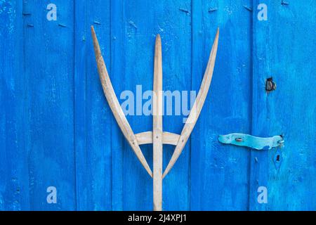antique wooden pitchfork leaning on blue barn door Stock Photo