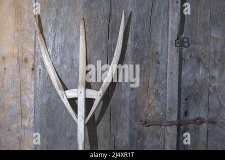old wooden pitchfork leaning on barn door Stock Photo