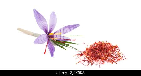 Saffron flower with stigmas group isolated on white background Stock Photo