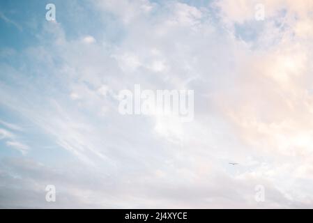 Ethereal blue and pink beach clouds with one lone bird flying Stock Photo