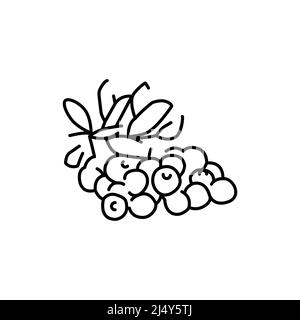 Cranberry plant color line icon. Pictogram for web page, mobile app, promo. Stock Vector