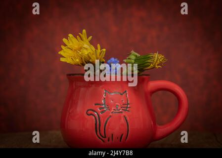 Blue Spike and Dandelion flowers blooms with red vintage color background in cat cup Stock Photo
