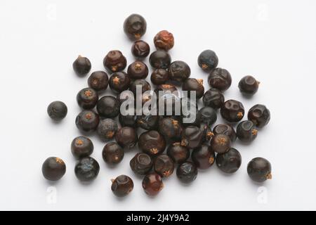 The fruit of a juniper bush. Juniper berries. Stock Photo