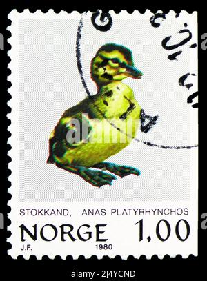 MOSCOW, RUSSIA - MARCH 27, 2022: Postage stamp printed in Norway shows Wild Duck (Anas platyrhynchos), Birds serie, circa 1980 Stock Photo