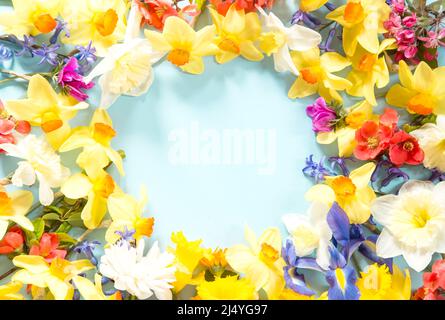 Spring floral copmosition on blue background Stock Photo