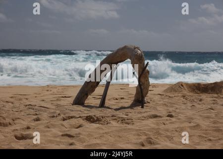 Driftwood on beach with surf in background Stock Photo