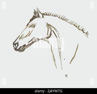 Outline head horse isolated on white background Stock Photo - Alamy