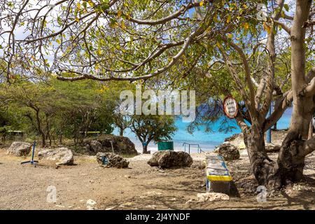 Poisonous manchineel tree with a warning sign at the access to Playa Jeremi on the Caribbean island Curacao Stock Photo