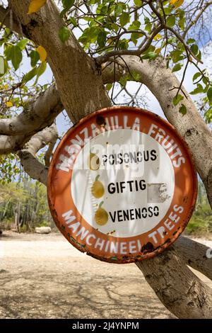 Manchineel trees warning sign at Playa Jeremi on the Caribbean island Curacao Stock Photo