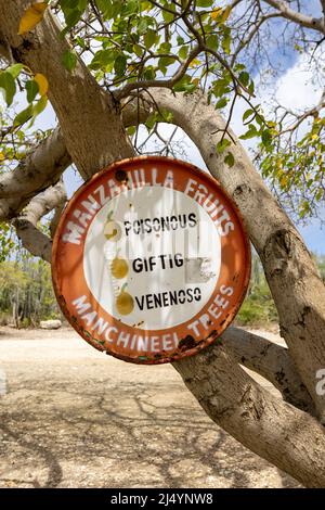 Manchineel trees warning sign at Playa Jeremi on the Caribbean island Curacao Stock Photo