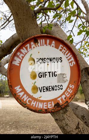 Manchineel trees warning sign at Playa Jeremi on the Caribbean island Curacao Stock Photo